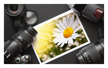 在线短信云呼网